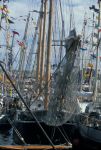 Tall Ships