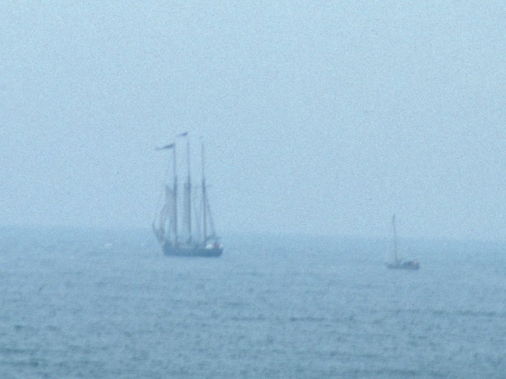 Parade of sail