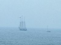 Parade of sail
