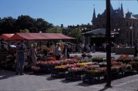 Sundsvall: Market
