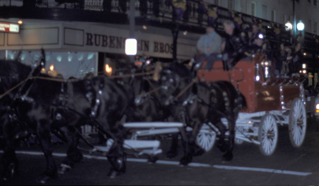 Mardis Gras: Parade at night