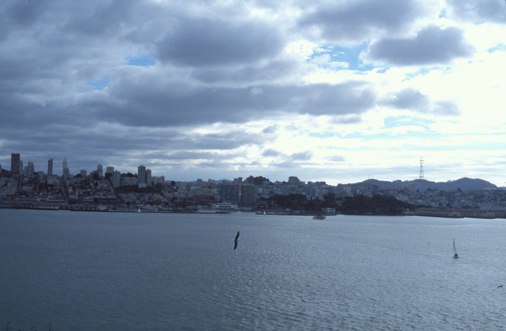 San Fransisco: Skyline