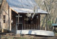 Swamp Tour: Swamp House