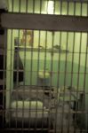 Alcatraz: Furnished cell