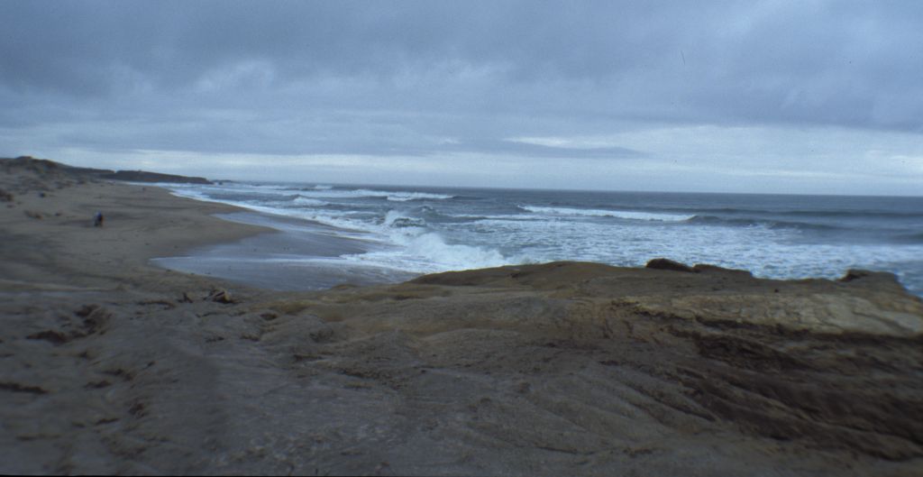 Route 1(San Fransisco to Monteray): beach