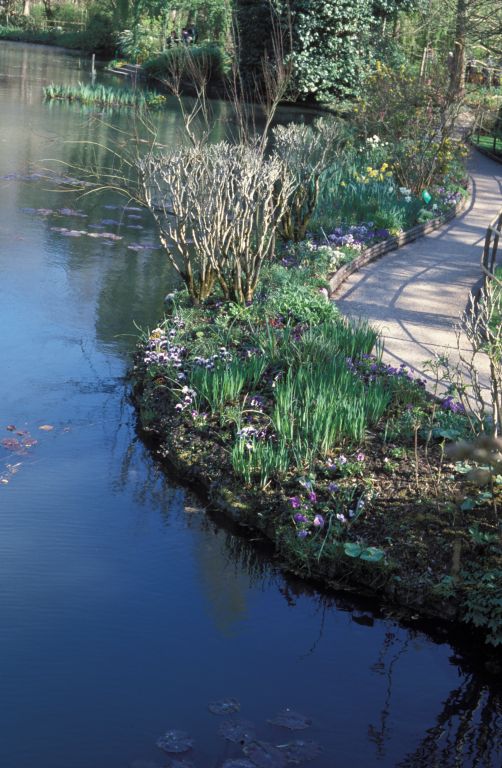 The view from the japanese bridge