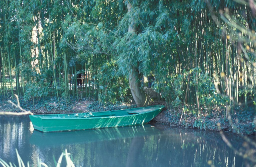 Boat and bamboo