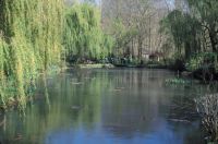 The view from the japanese bridge