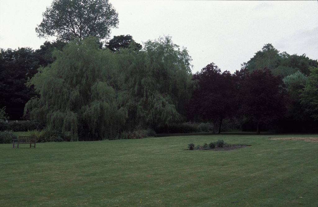 Meon valley: Church green