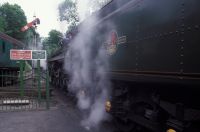 Watercress line