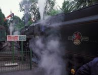 Watercress line