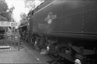 Watercress line