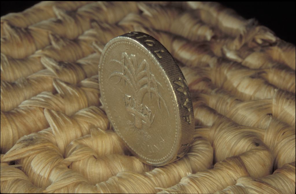 Pound Coin