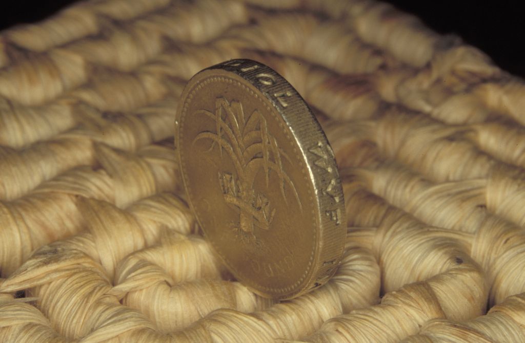 Pound Coin