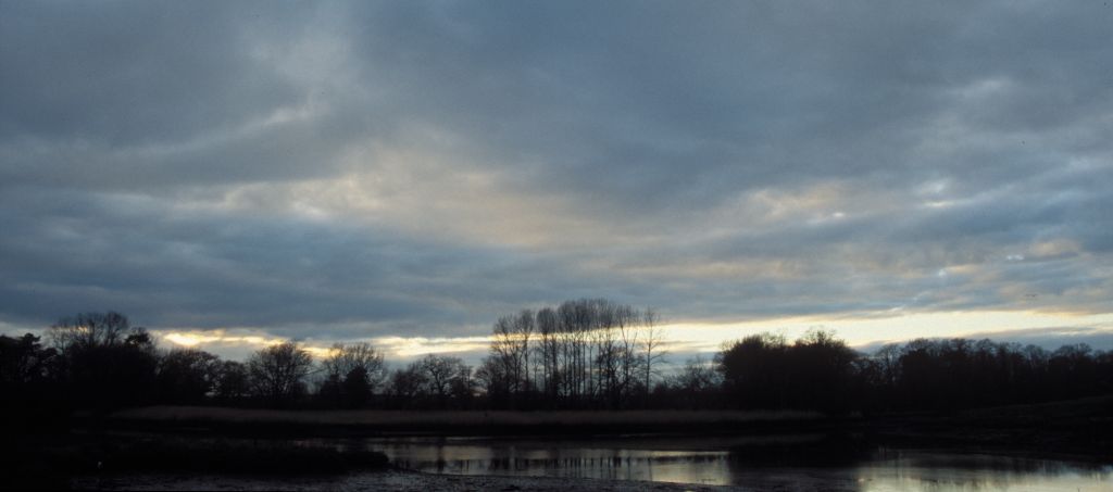 Nature reserve near Horse and Jockey