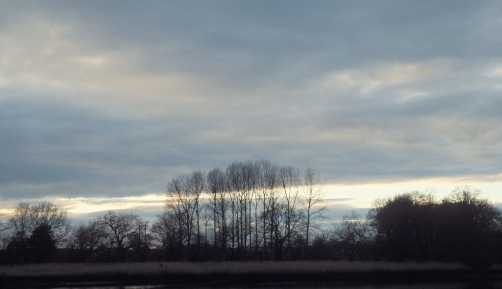 Nature reserve near Horse and Jockey