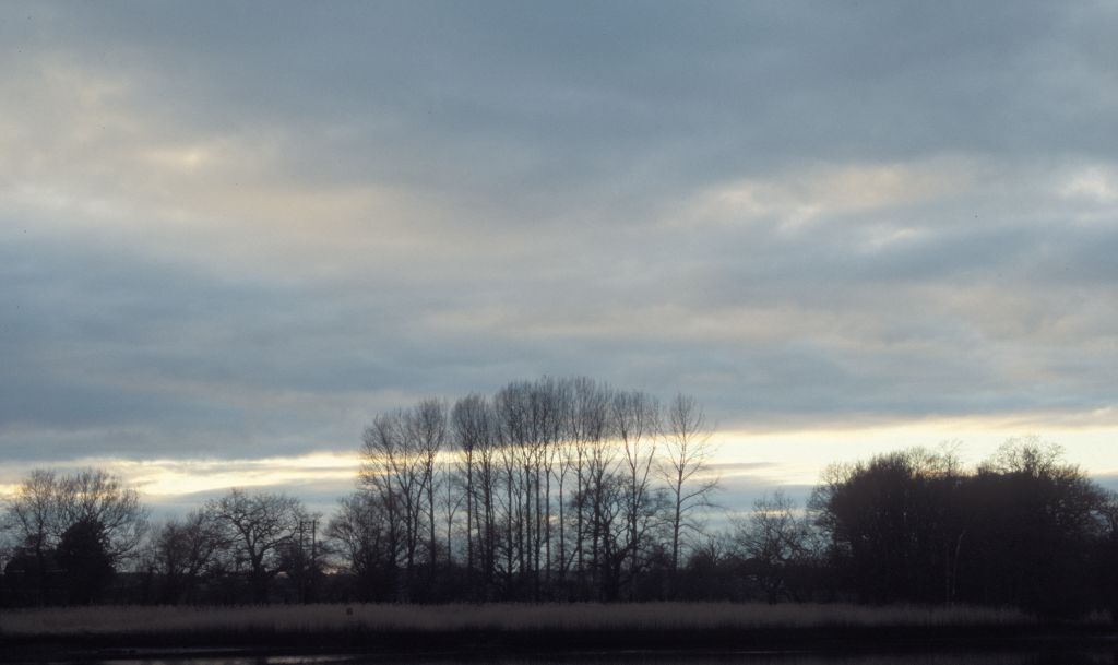 Nature reserve near Horse and Jockey