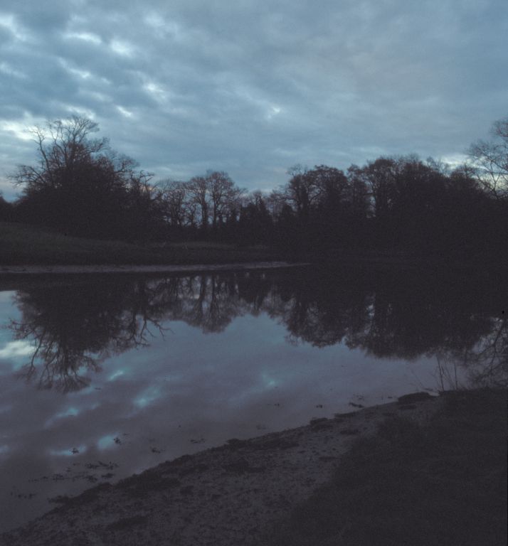 Nature reserve near Horse and Jockey