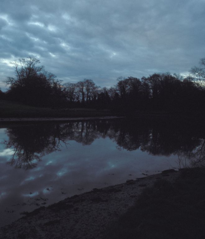 Nature reserve near Horse and Jockey