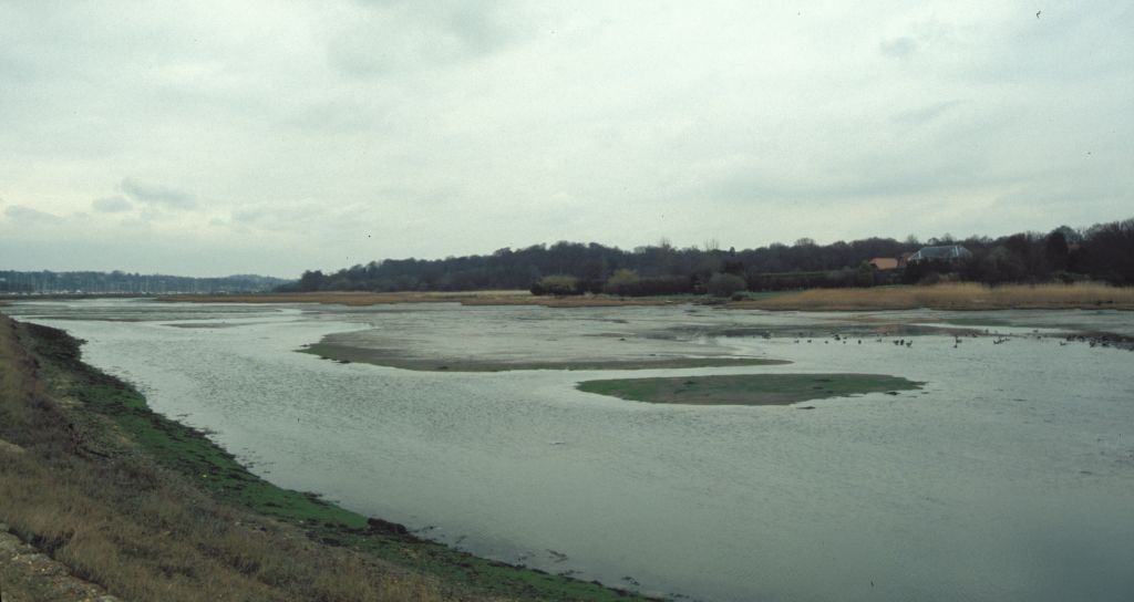 Hamble near The Rising Sun