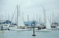 Yachts (Hamble)