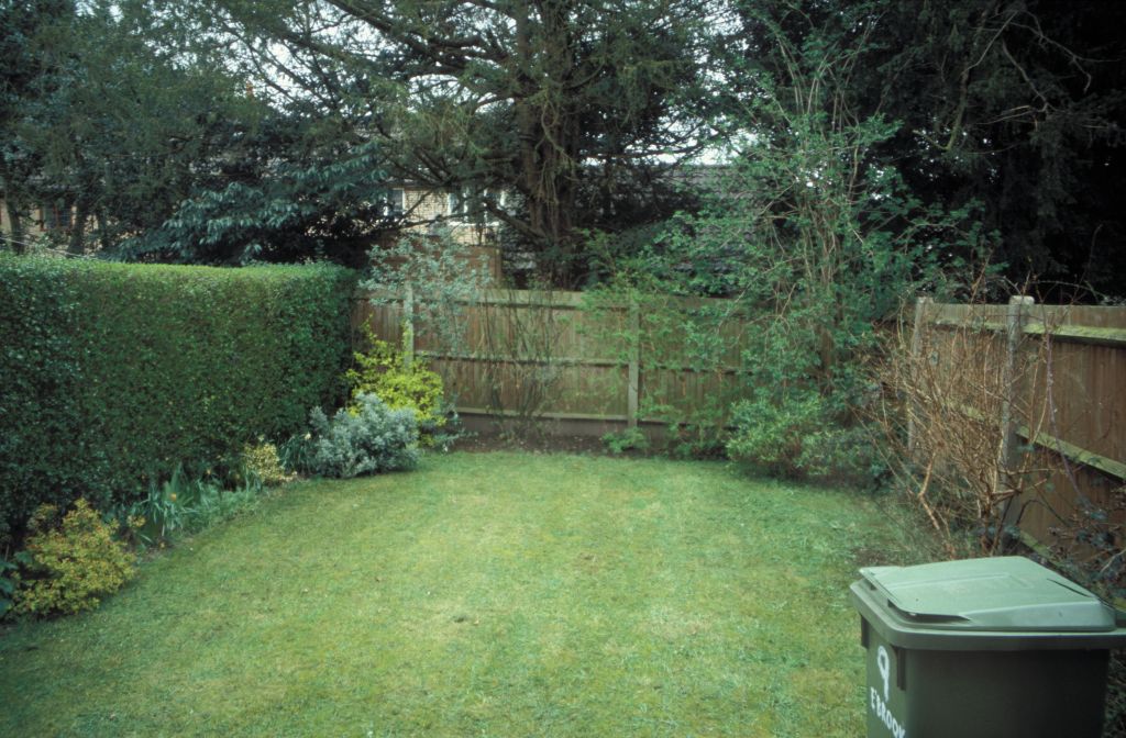 Back garden