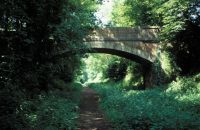 Disused railway near Soberton
