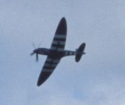 Spitfire
