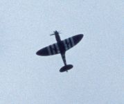 Spitfire