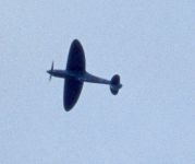 Spitfire
