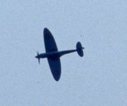 Spitfire
