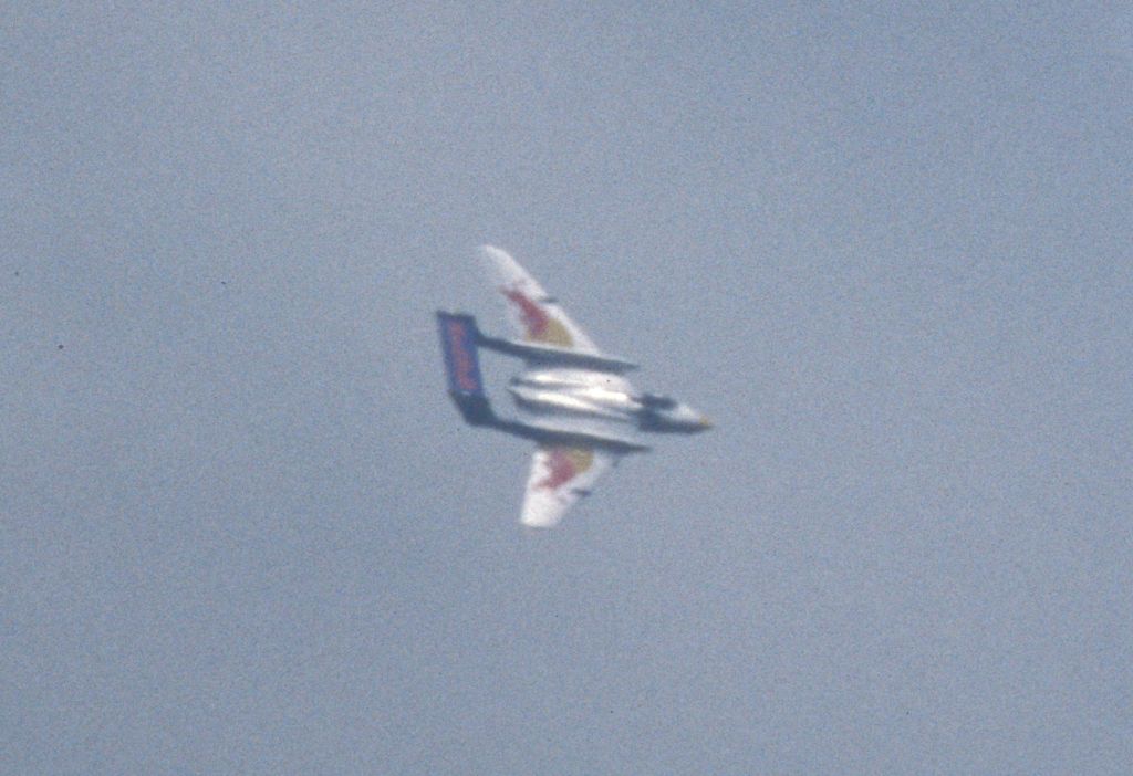 Delta Wing Plane