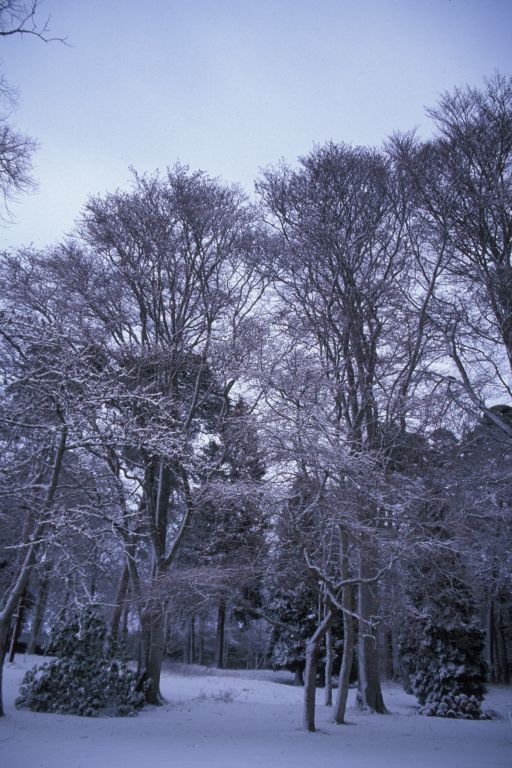 Christmas at Clares house rear