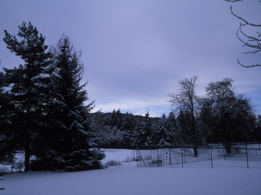 Clares view from family room