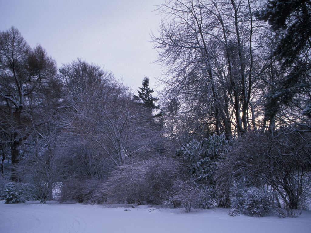 Clares corner of house