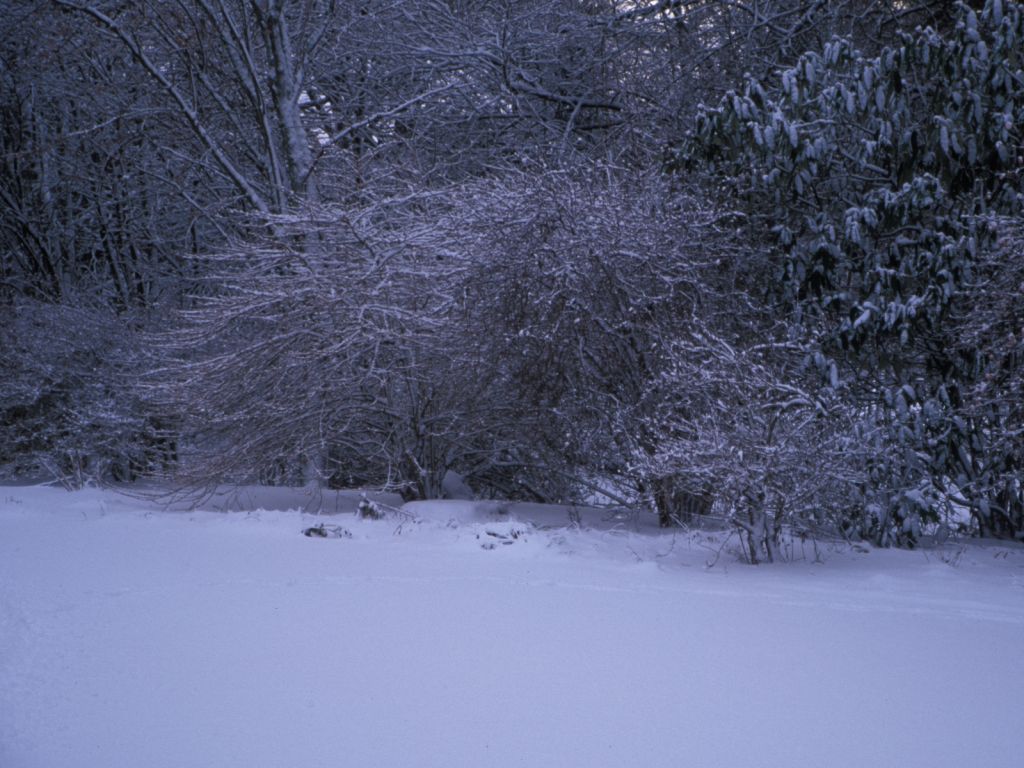 Clares corner of house