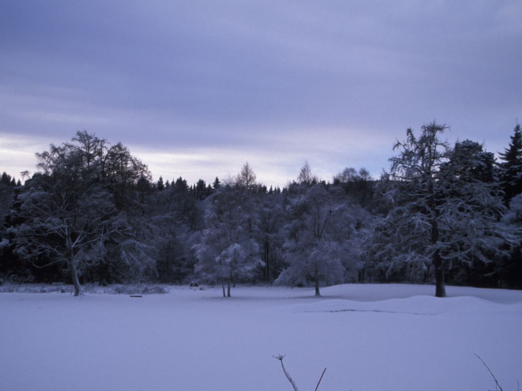 View across golf course