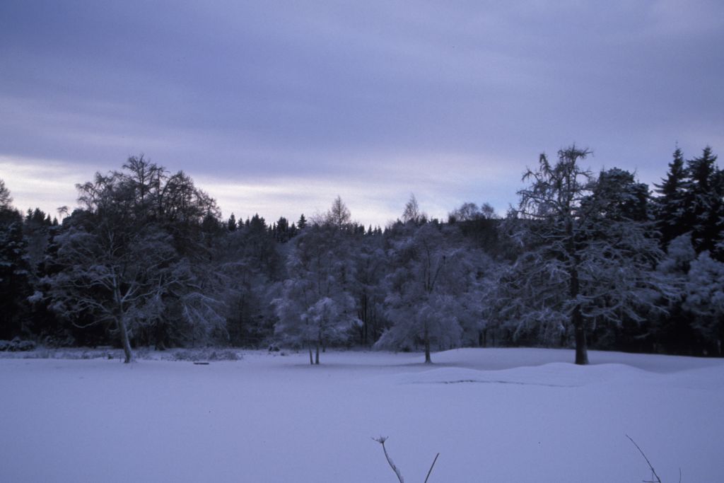 View across golf course