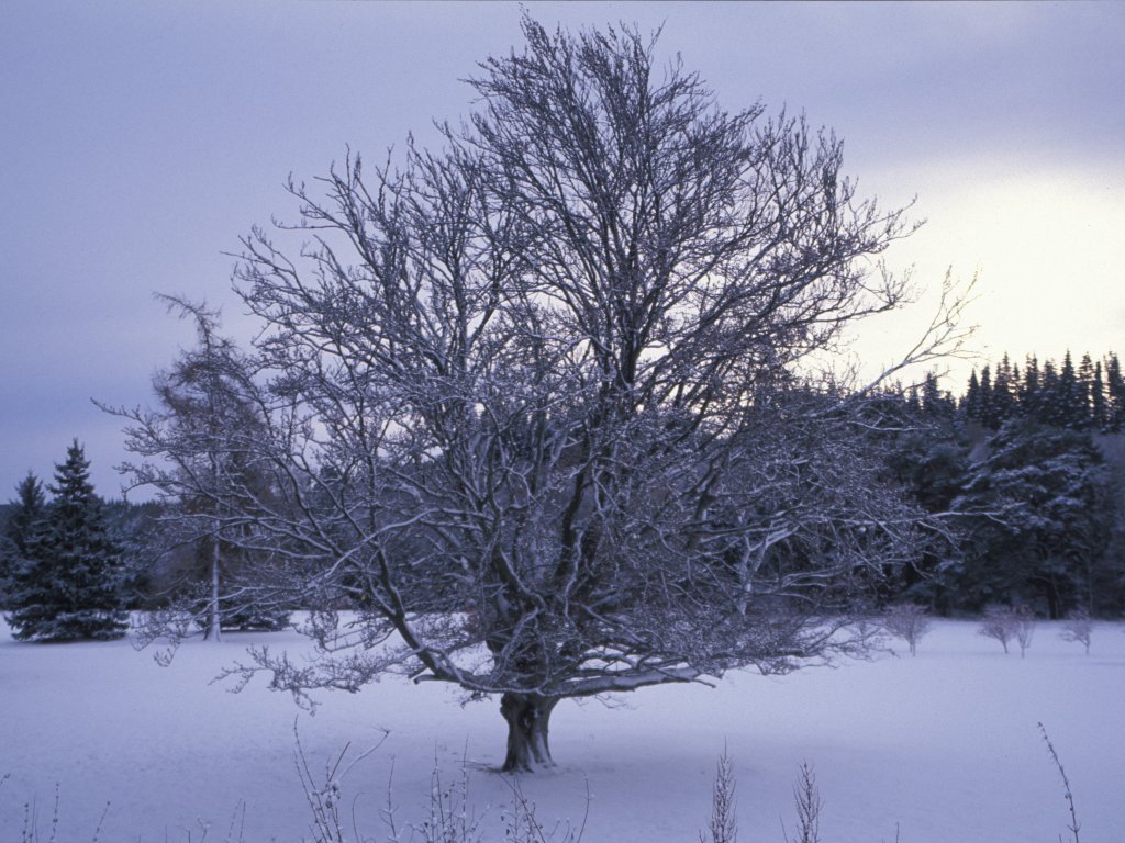 View across golf course
