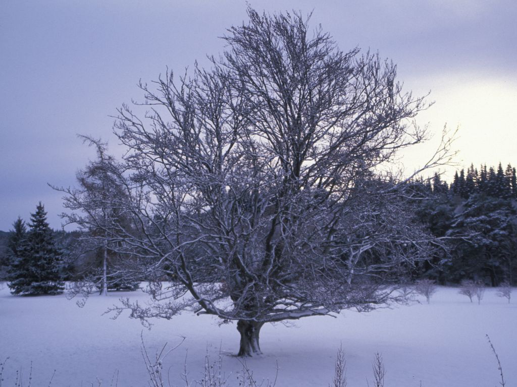 View across golf course