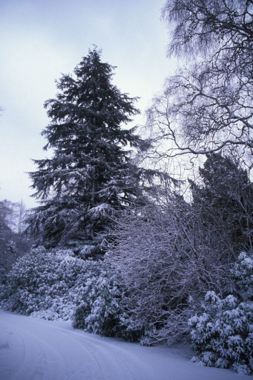 Side of Clares house