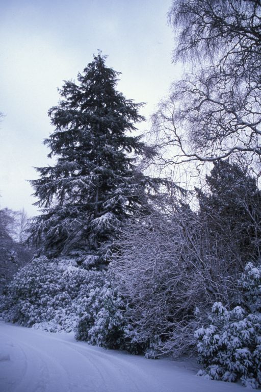 Side of Clares house