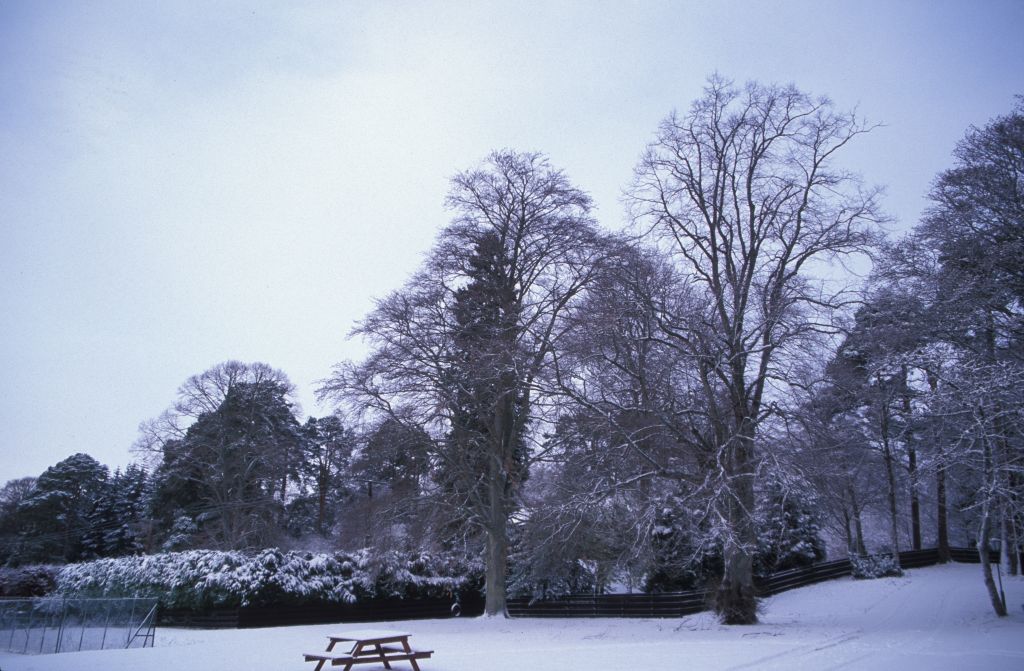 Across front at Clares