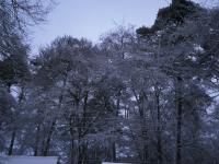 Christmas at Clares house rear