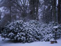 Christmas at Clares house rear