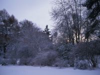 Clares corner of house