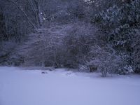 Clares corner of house