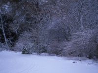 Clares corner of house