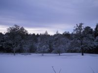View across golf course
