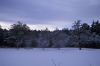 View across golf course